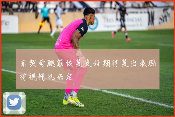 东契奇腿筋恢复良好期待复出表现将视情况而定