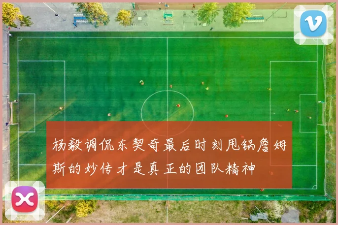 杨毅调侃东契奇最后时刻甩锅詹姆斯的妙传才是真正的团队精神