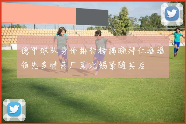 德甲球队身价排行榜揭晓拜仁遥遥领先多特药厂莱比锡紧随其后