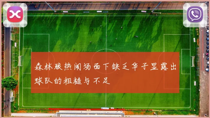 森林狼热闹场面下缺乏华子显露出球队的粗糙与不足