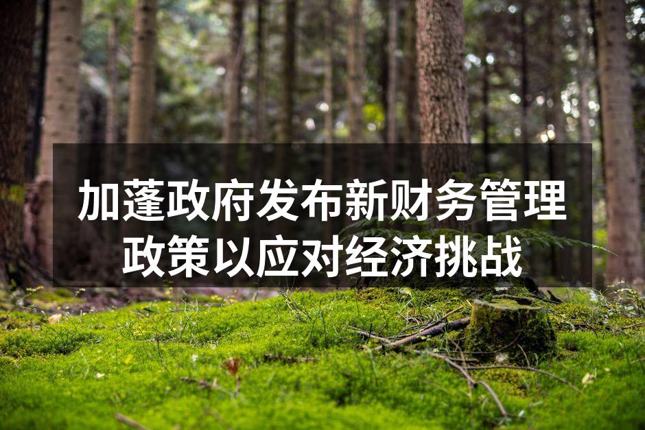 加蓬政府发布新财务管理政策以应对经济挑战