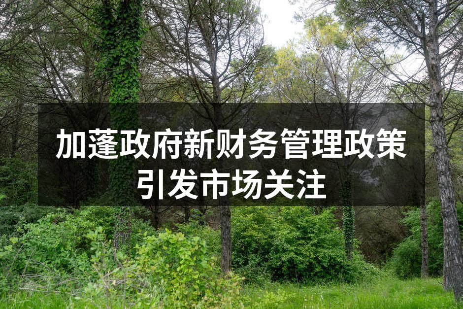 加蓬政府新财务管理政策引发市场关注