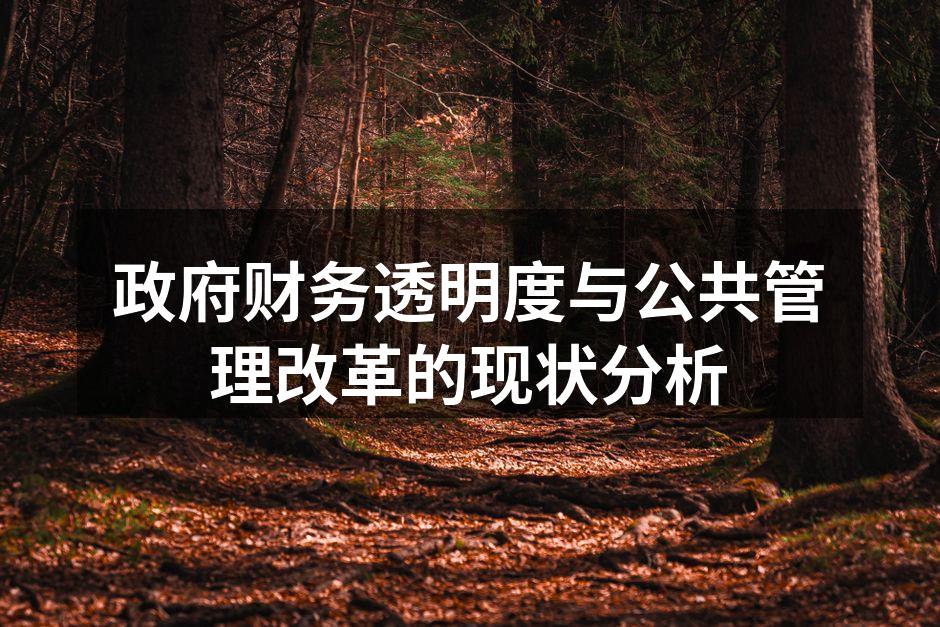 政府财务透明度与公共管理改革的现状分析